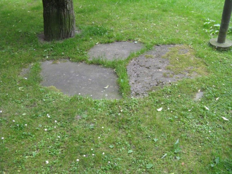 Datei:St. Jakob Fragmente Bild 1.jpg