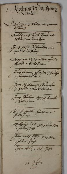 Datei:Musterung Schmidzeil-Viertel 1583 1.jpg